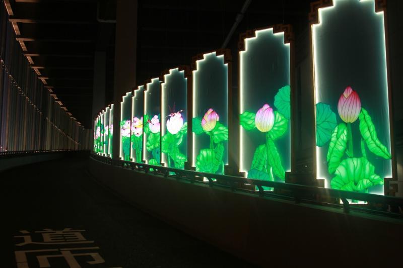 赏灯|看展又赏灯，“天下第一灯”点亮“四叶草”