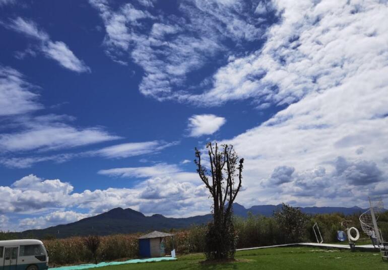 郑爽|郑爽妈妈不满女儿被黑发文：她是挡着某些人的路爽爸与餐饮公司欠税无关