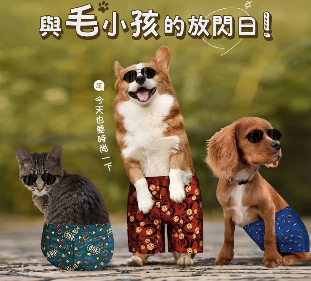 咯~就在11月8日 厨艺天地上线了一个 重量级遛狗带猫圣地 亲子宠物日