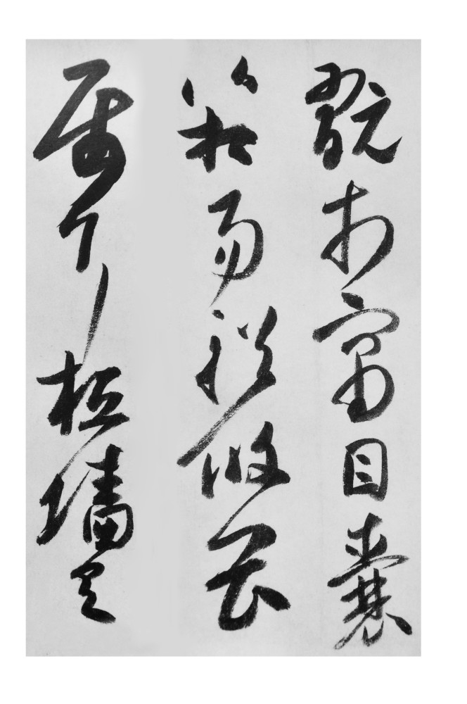 蔡茂友书法讲坛《大唐书法赏析》第17讲——高闲《草书千字文》