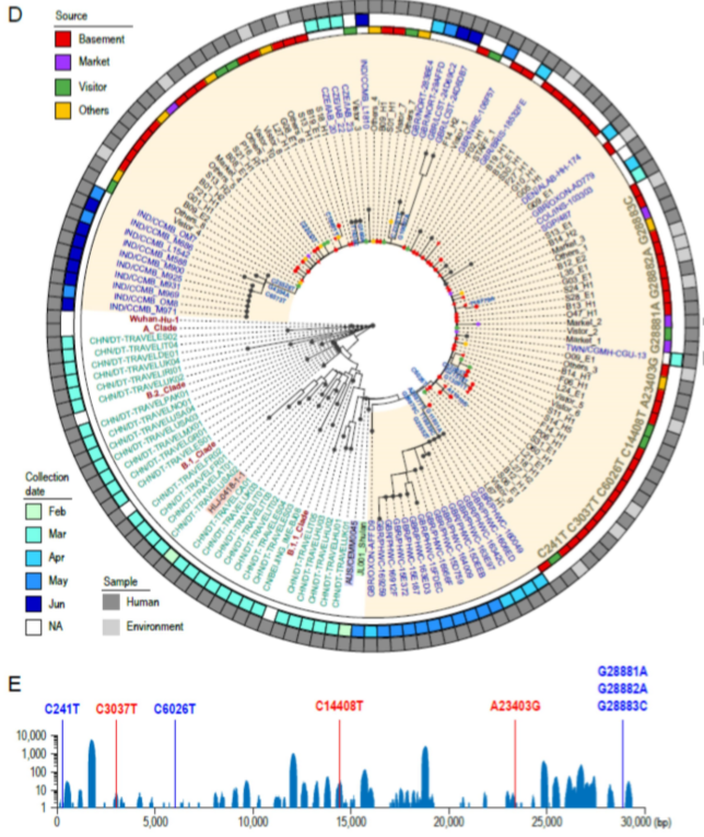 新发地|新发地三文鱼，不冤！