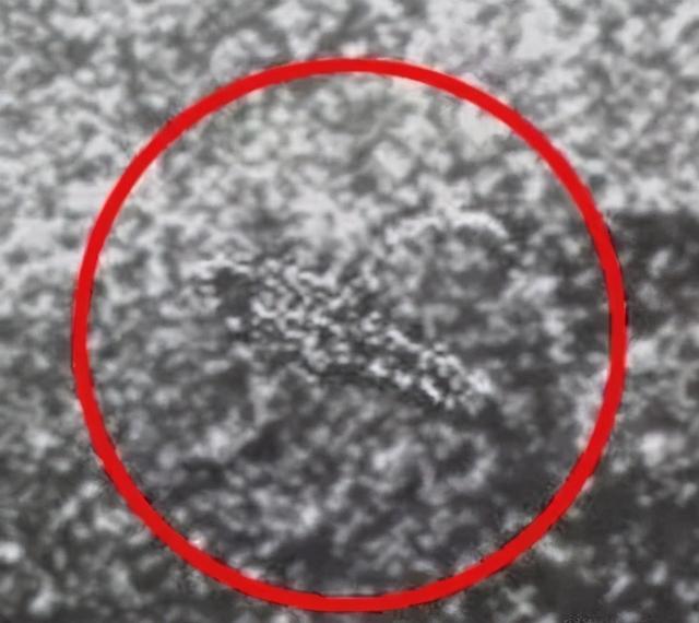金星_天文行星|金星上可能存在生命？自称来自金星的女人“奥妮克”，你相信吗？