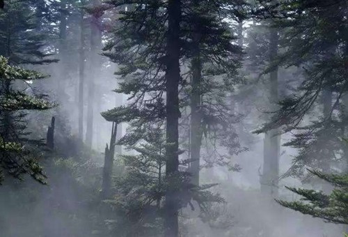 百慕大三角|“黄泉路”原来真实存在！如今已被禁止入内，科学至今也无法解释