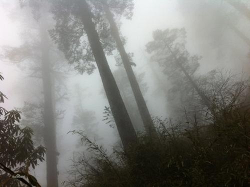 百慕大三角|“黄泉路”原来真实存在！如今已被禁止入内，科学至今也无法解释