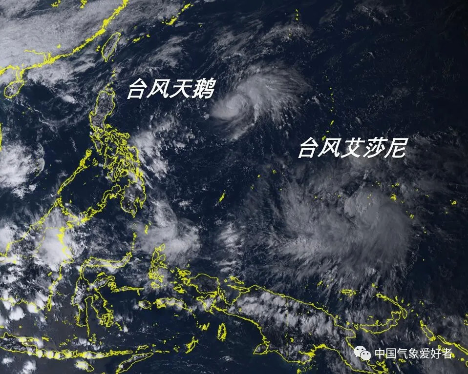 双台风|双台风来了！天鹅、艾莎尼同日生成，它们会不会登陆我国？