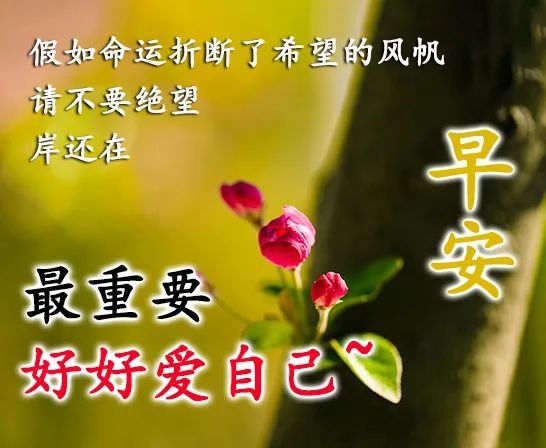 幸福温馨早安问候语图片带字 暖心的早上好图片大全问候祝福语2020 微笑 一点点