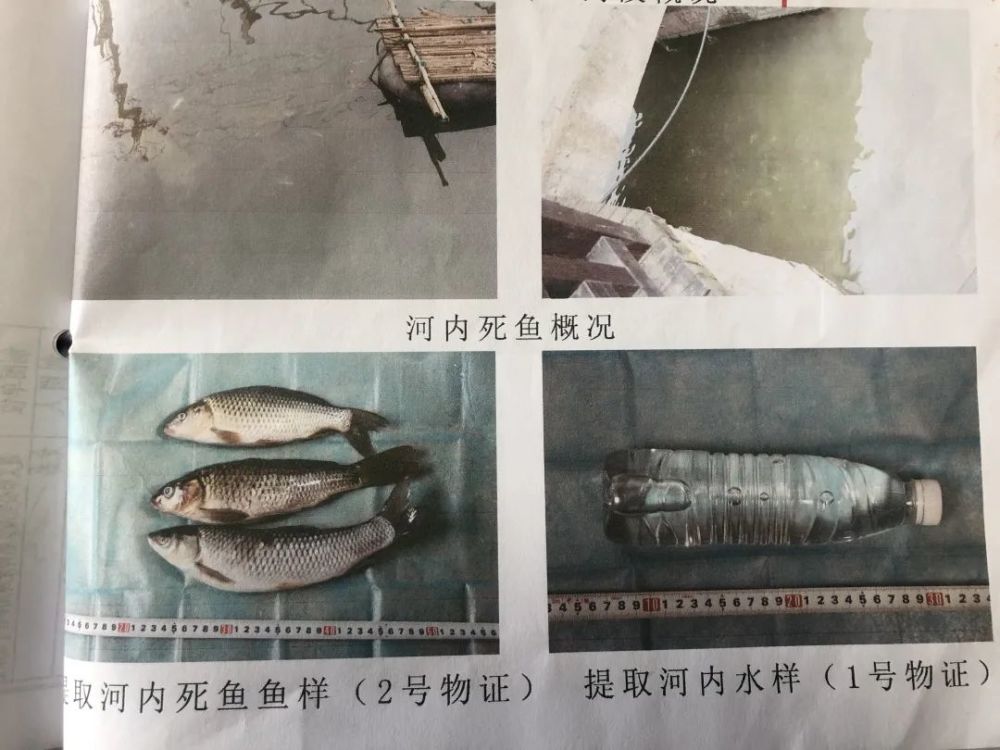 贵州4男子为吃3斤鱼向河里投毒 2.2公里河段鱼类近灭绝