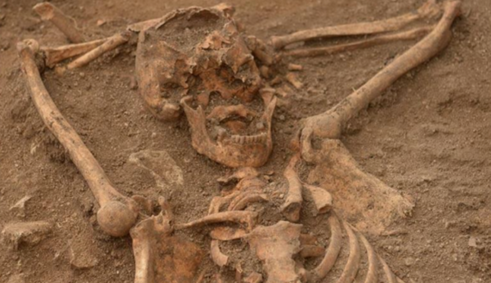 早啊新闻来了20201030