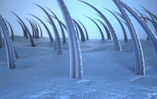 蓖麻油|涂抹蓖麻油＋薄荷油来生发？别被坑了！