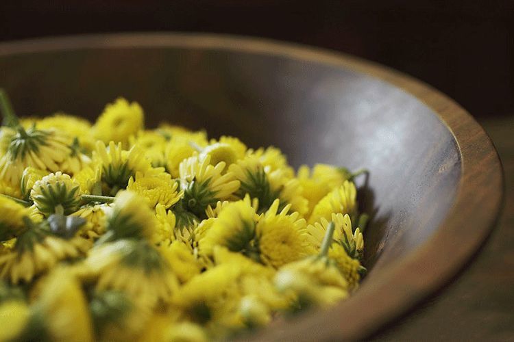 咏菊|咏菊诗：耐寒唯有东篱菊