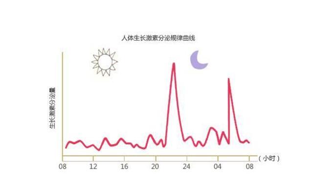 众所周知,身高的决定因素是生长激素的分泌,而 生长激素的分泌高峰值