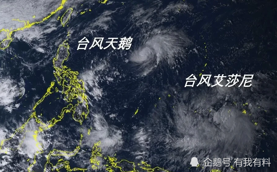 双台风共舞,20号台风"艾莎尼"或指向广东