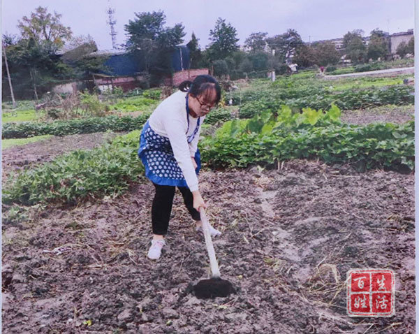 生活实践教育
