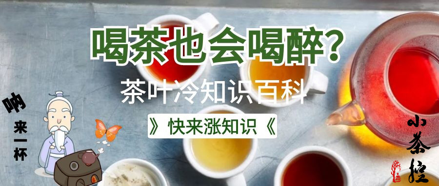 你不瞭解的茶葉冷知識全蒐羅有趣漲知識且意想不到哦