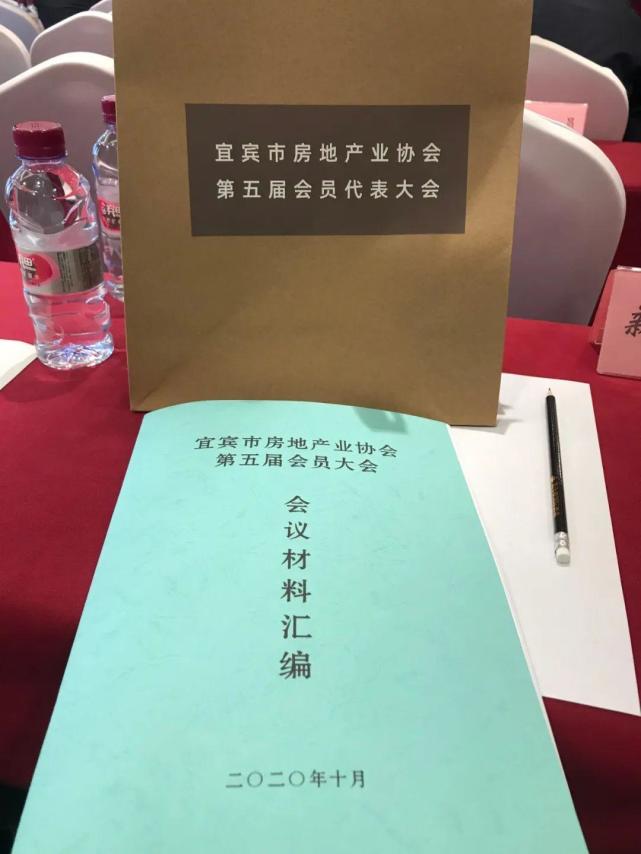 丽雅置地史闯当选第五届房地产业协会会长