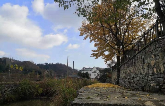 丫木脚古村位于芜湖南陵县何湾镇,紧邻丫山风景区,依山傍水,村前丫山