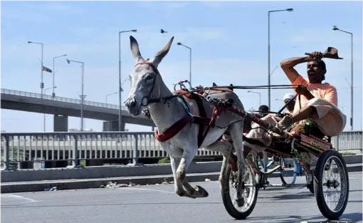 高梁河之战宋军惨败太宗驴车逃走被嘲为西直门车神