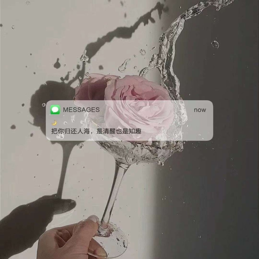 一眼中意的英文说说适合小仙女长期置顶00后快挑一句送自己
