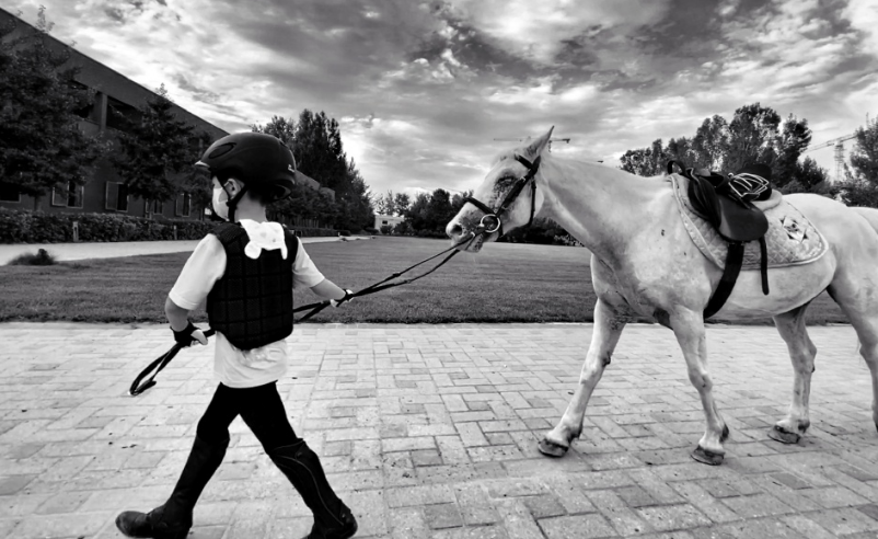 靳东|靳东老婆罕晒6岁大儿子，一身迷彩服长腿优越，发量更是惹人羡