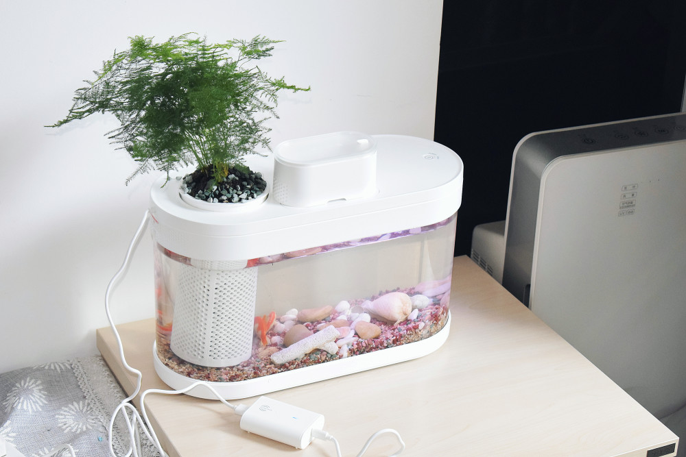 懒人养鱼神器,轻松更惬意——画法几何c系智能鱼缸pro版体验