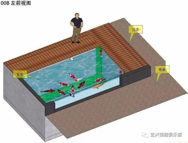 锦鲤鱼池建造详细步骤图