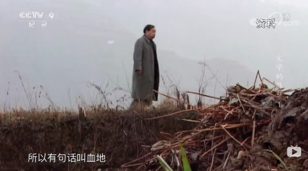 莫言|莫言：我们宁愿跑出去当盲流。也想离开这个土地到外面去看看