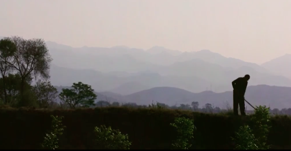 莫言|莫言：我们宁愿跑出去当盲流。也想离开这个土地到外面去看看