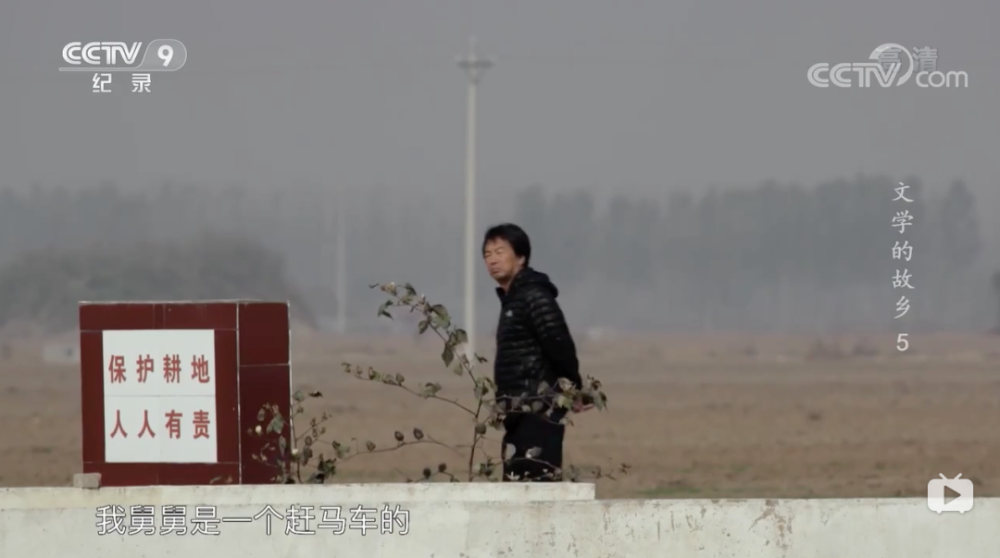 莫言|莫言：我们宁愿跑出去当盲流。也想离开这个土地到外面去看看