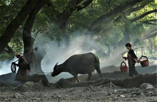 俗语|俗语：“男凹女凸，不寡就孤”，古人这么说有何道理？
