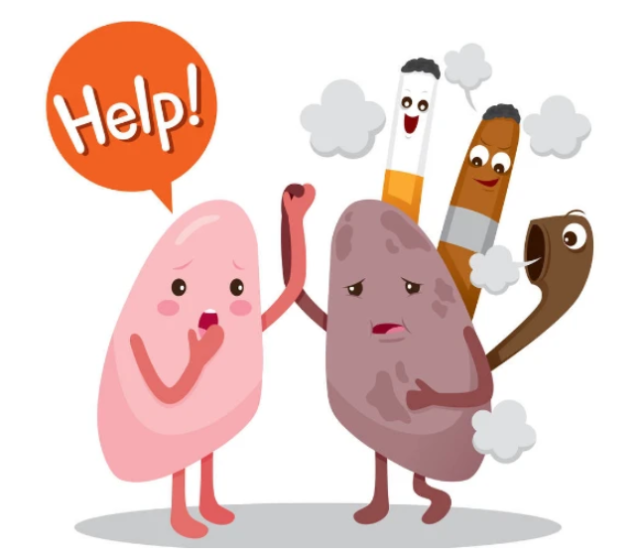 损伤肺的除了吸烟还有三件事许多人天天做还不自知