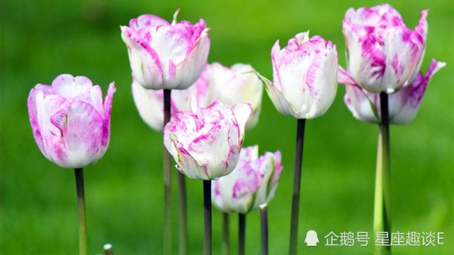 10月31日星座运势 双子积极向上 天秤人缘不错 摩羯谦虚谨慎 摩羯座 星座运势 双子座 天秤座 运势