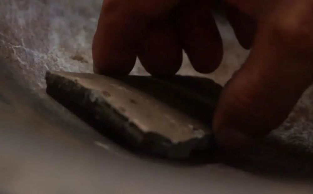 猪筒骨|“烹鸡高人”“化骨侠客”“荡蟹天团” 鄞州味道江湖，谁主沉浮