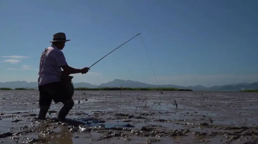 猪筒骨|“烹鸡高人”“化骨侠客”“荡蟹天团” 鄞州味道江湖，谁主沉浮