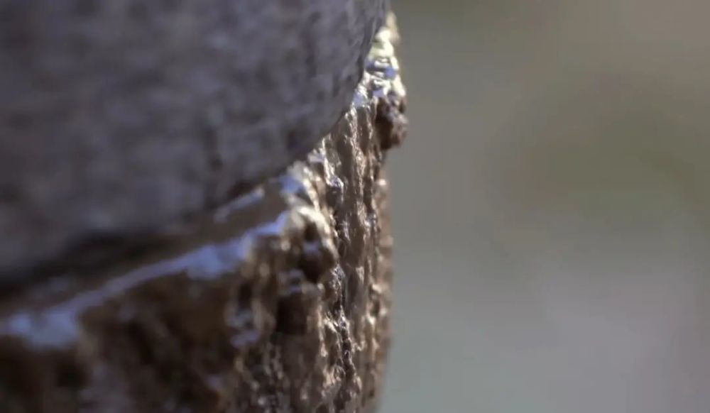 猪筒骨|“烹鸡高人”“化骨侠客”“荡蟹天团” 鄞州味道江湖，谁主沉浮