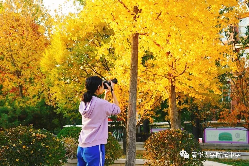 海淀区|这20所北京中小学幼儿园的秋季美景，你想为谁点赞？