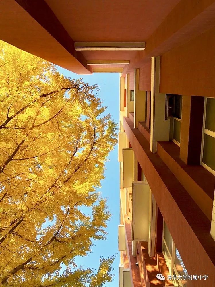 海淀区|这20所北京中小学幼儿园的秋季美景，你想为谁点赞？