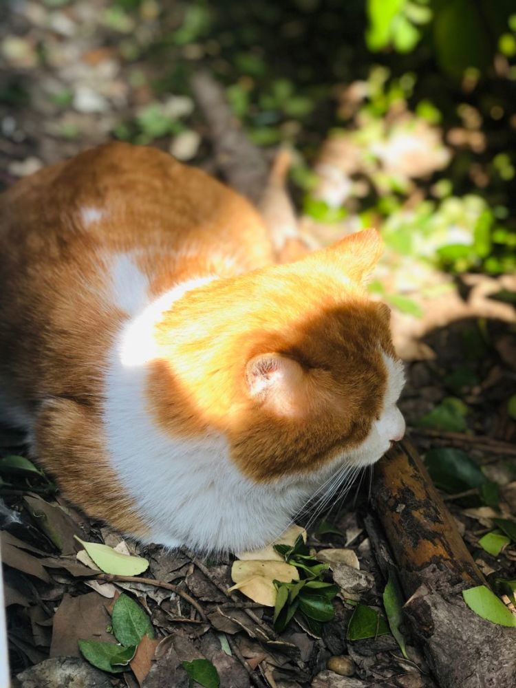 海淀区|这20所北京中小学幼儿园的秋季美景，你想为谁点赞？