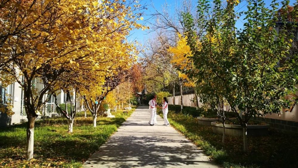 海淀区|这20所北京中小学幼儿园的秋季美景，你想为谁点赞？
