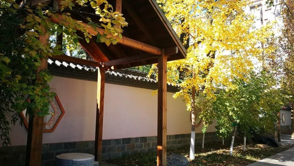 海淀区|这20所北京中小学幼儿园的秋季美景，你想为谁点赞？