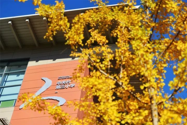 海淀区|这20所北京中小学幼儿园的秋季美景，你想为谁点赞？