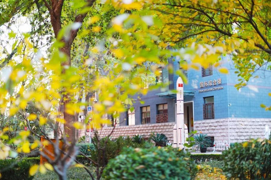 海淀区|这20所北京中小学幼儿园的秋季美景，你想为谁点赞？