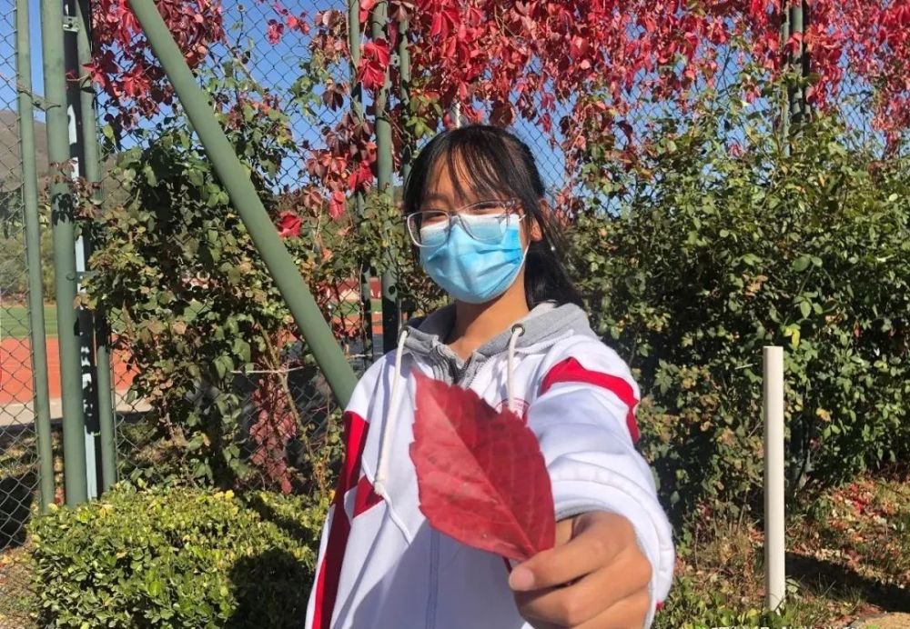 海淀区|这20所北京中小学幼儿园的秋季美景，你想为谁点赞？