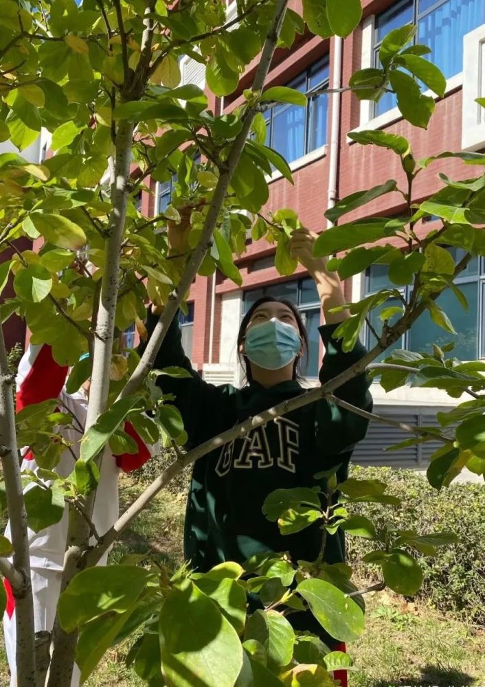 海淀区|这20所北京中小学幼儿园的秋季美景，你想为谁点赞？