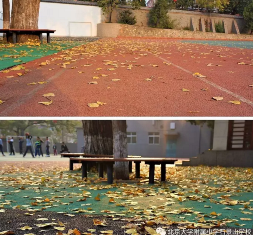 海淀区|这20所北京中小学幼儿园的秋季美景，你想为谁点赞？