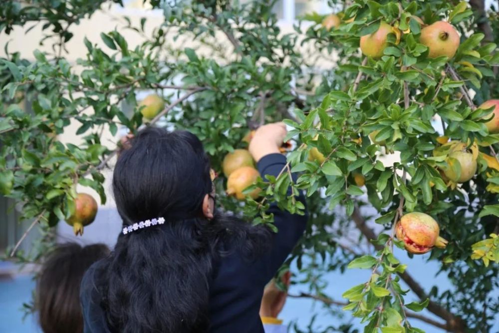 海淀区|这20所北京中小学幼儿园的秋季美景，你想为谁点赞？