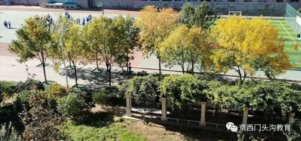 海淀区|这20所北京中小学幼儿园的秋季美景，你想为谁点赞？