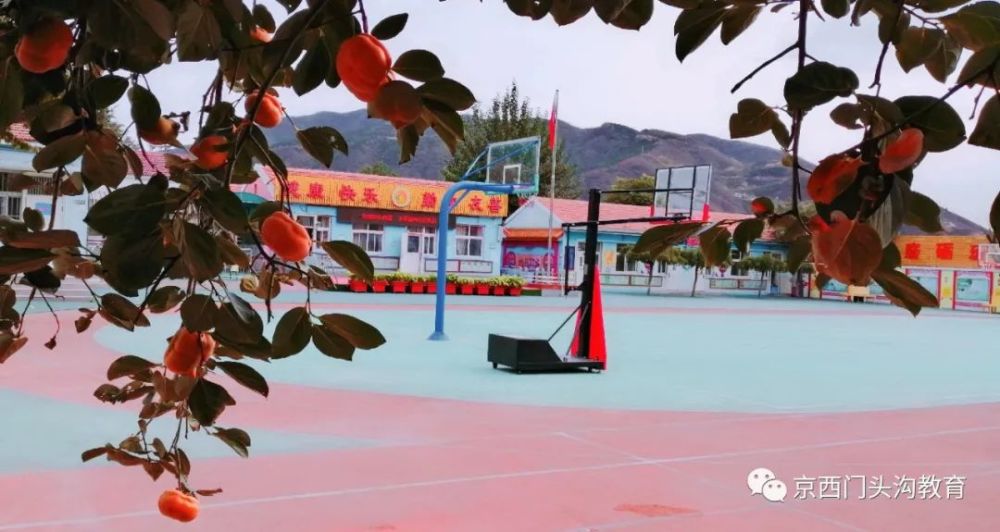 海淀区|这20所北京中小学幼儿园的秋季美景，你想为谁点赞？