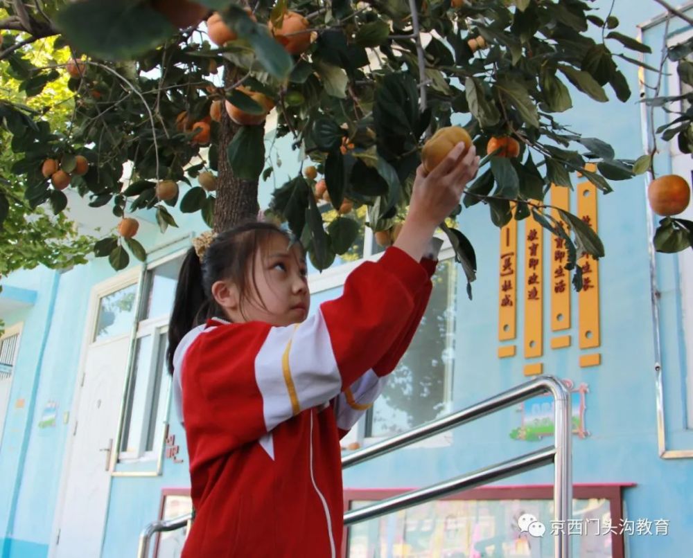 海淀区|这20所北京中小学幼儿园的秋季美景，你想为谁点赞？