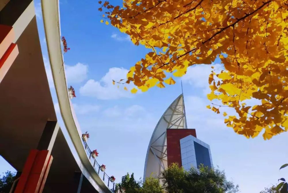 海淀区|这20所北京中小学幼儿园的秋季美景，你想为谁点赞？