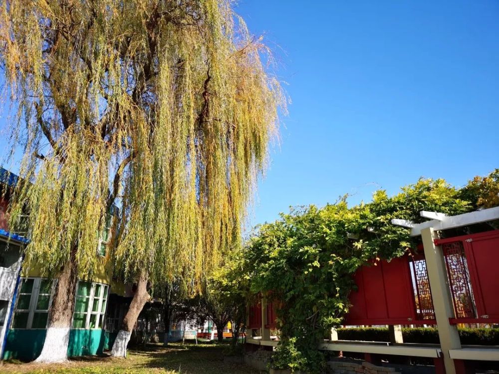 海淀区|这20所北京中小学幼儿园的秋季美景，你想为谁点赞？